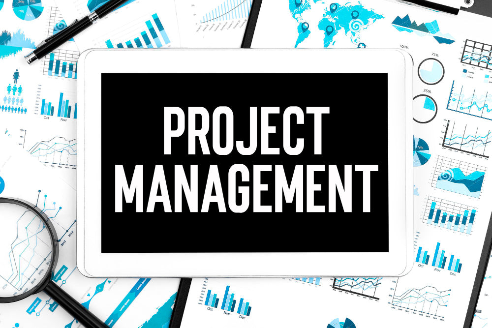 Project Management Guide Techno Pm Project Management Templates Download 3306