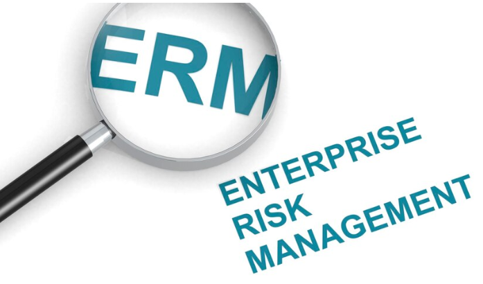 What Is Enterprise Risk Management (ERM)?