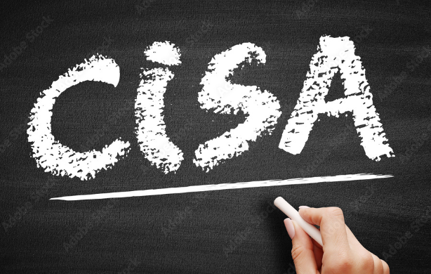 Mastering The CISA Certification: A Guide To Success In The IT Field