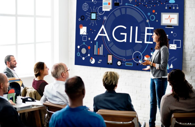 Who Uses PRINCE2 Agile?