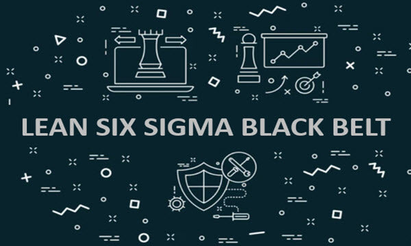 Key Principles And Roles Of Lean Six Sigma Black Belt – Techno PM ...