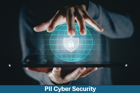 PII Cyber Security