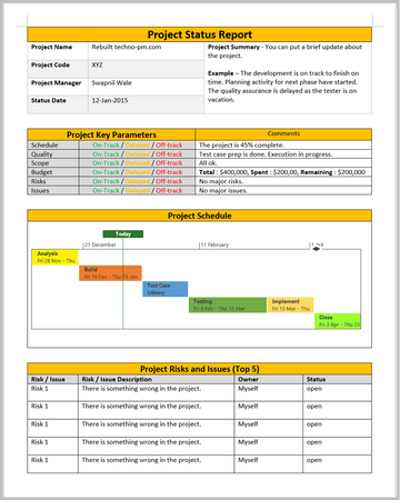 Project Status Reports Pack – Techno PM - Project Management Templates ...