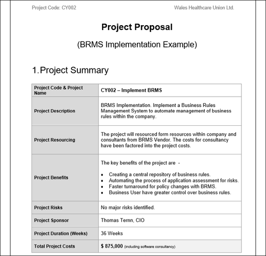 Project Proposal Brms Implementation Template Techno Pm Project Management Templates Download 6383